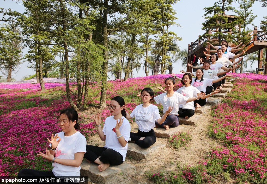 江蘇瑜伽愛好者花海林間展現(xiàn)運(yùn)動之美 愉悅身心成靚麗風(fēng)景