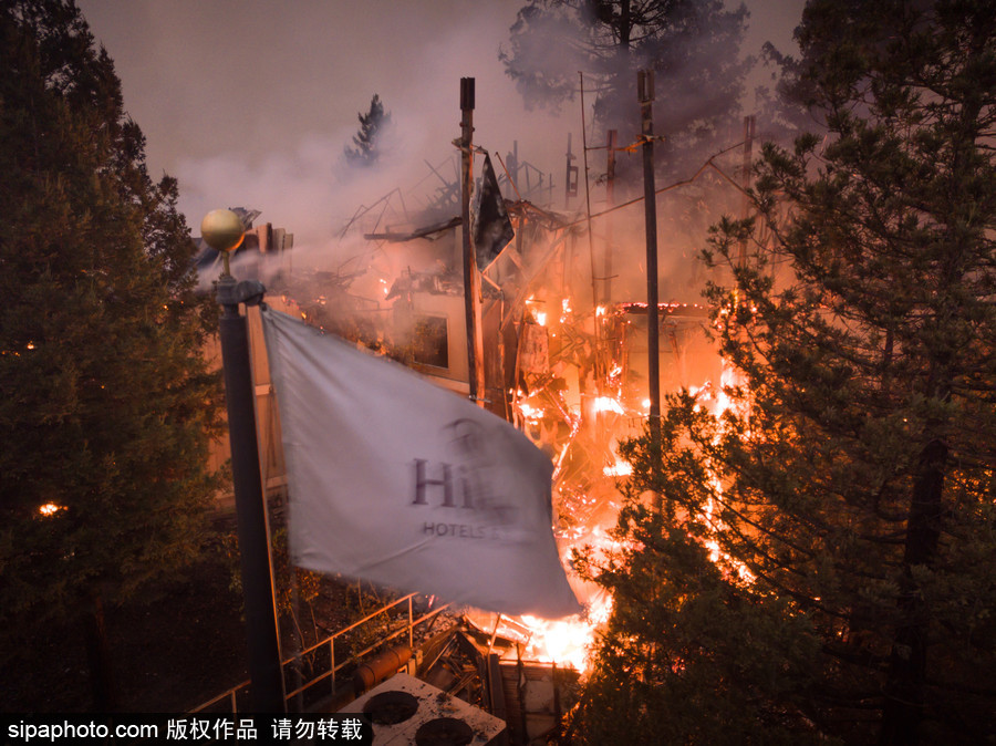 美國多地遭山火侵襲 圣羅莎希爾頓酒店“葬身火海”