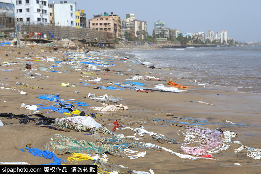 印度海灘成垃圾場 環(huán)保志愿者數(shù)年如一日堅持清理