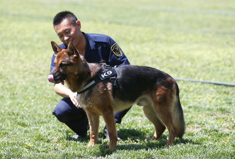 禁毒日前夕 探訪海關(guān)總署北京緝私犬基地