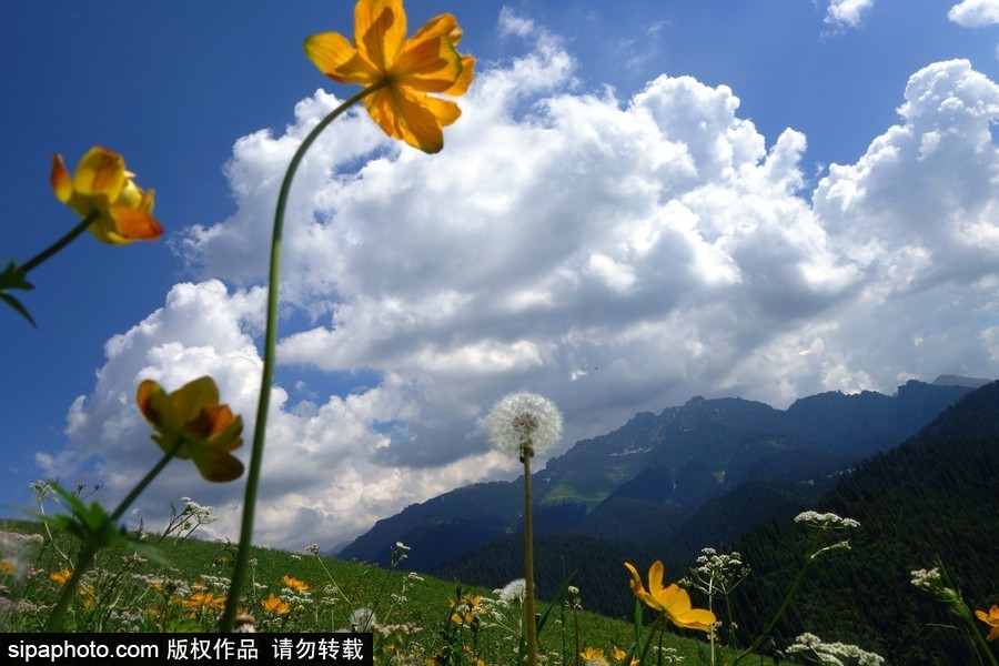 藍天白云刷屏！盤點風清日朗的絕美風光 為眼睛降溫