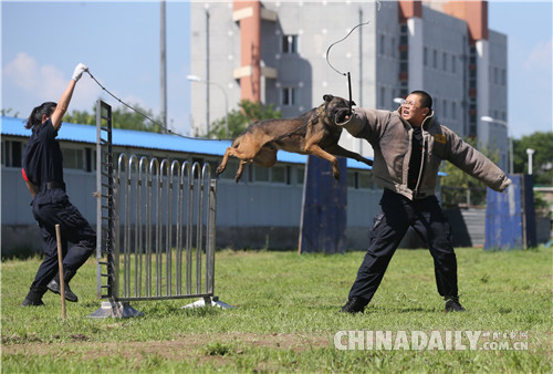 北京市公安局公交總隊(duì)在警犬基地舉行警營開放日活動(dòng)