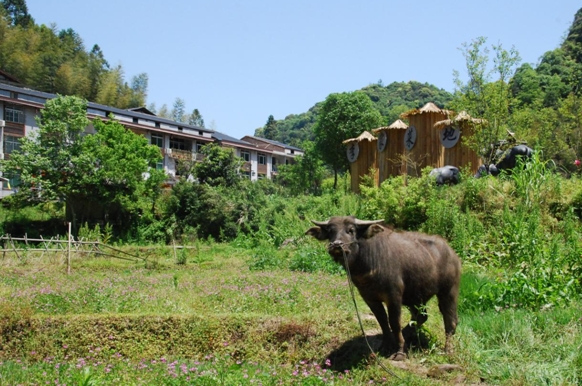 臺(tái)灣青年深入福建鄉(xiāng)村搞建設(shè)